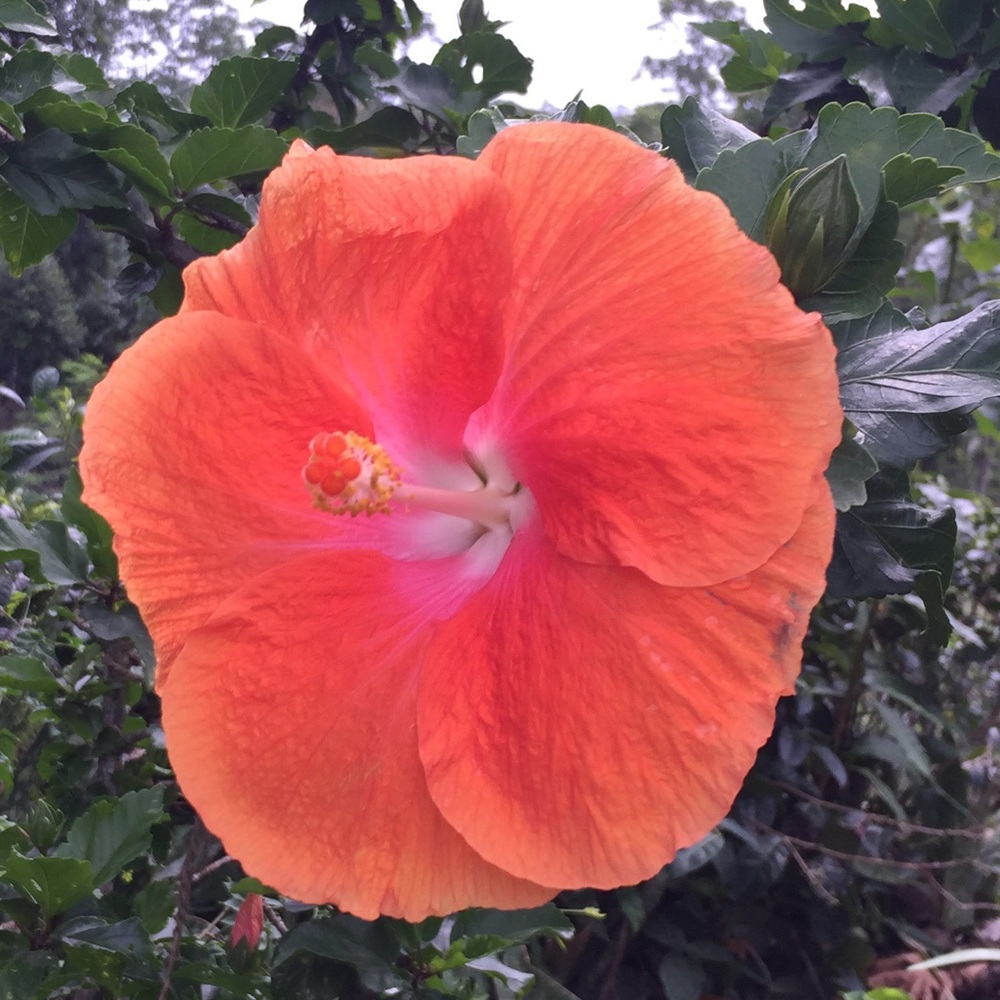 Meet your Posher, Kay!